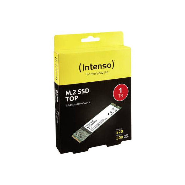 Intenso Top Performance 1To M.2